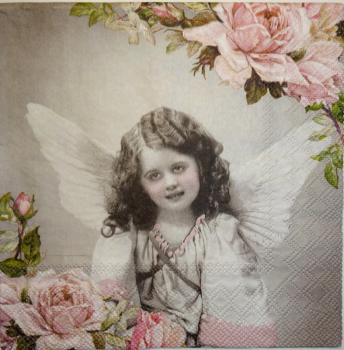 224 Angel - 3-ply - Ambiente